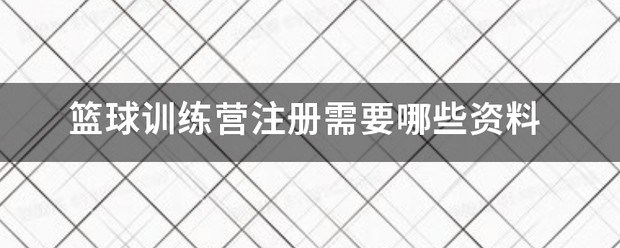 篮球训练营一般是个体还是公司